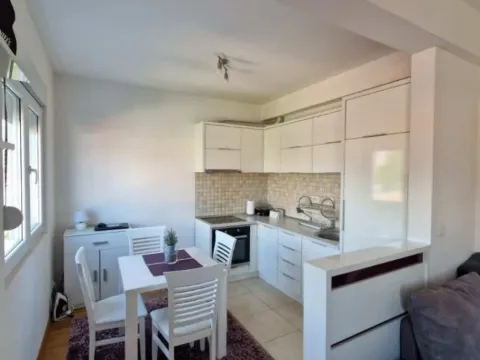 Izdavanje, jednosoban stan, 41m², Stari Aerodrom, Podgorica - image 9