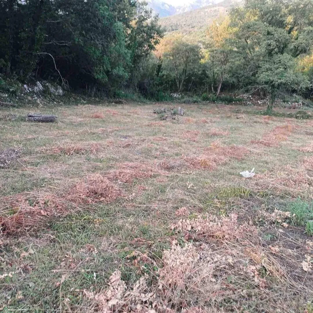 Prodaja, plac, 10300m², Kotor, Crna Gora