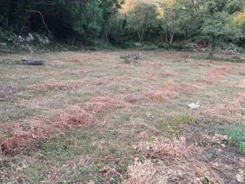 Prodaja, plac, 10300m², Kotor, Crna Gora - image 2