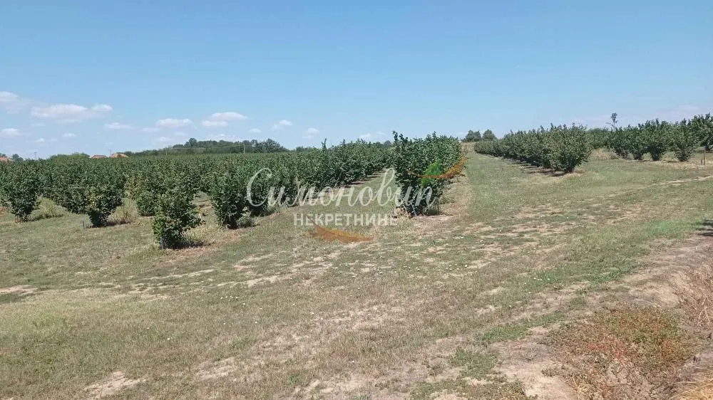 Prodaja, plac, 63000m², Centar, Ub