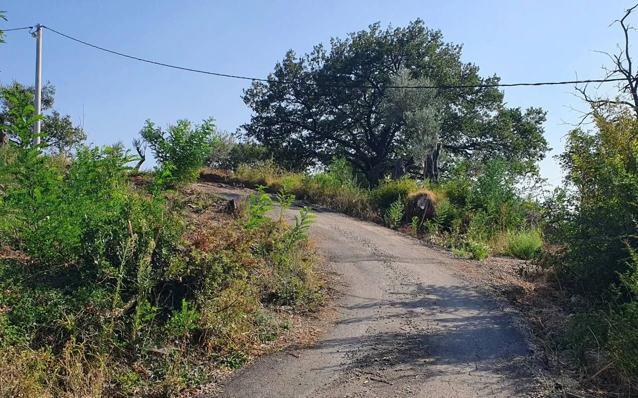 Prodaja, plac, 4200m², Bjeliši, Bar