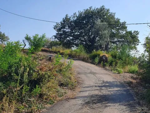 Prodaja, plac, 4200m², Bjeliši, Bar - image 5