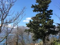 Sale, land lot, 30m², Dobrota, Kotor - image 10