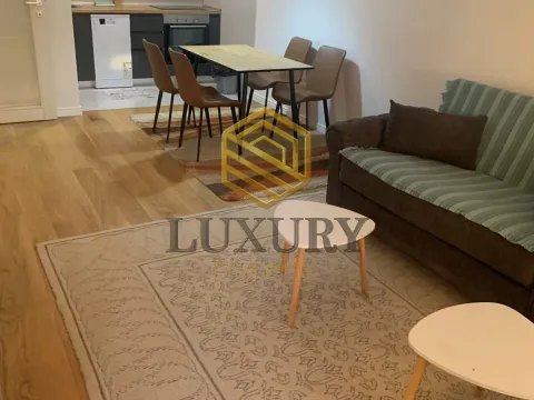 Rent, one bedroom apartment, 49m², Central Point, Podgorica - image 2