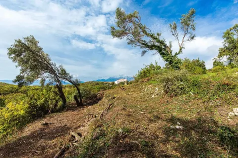 Pogled na zemljište sa drvećem i rastinjem i okolni pejzaž. - image 5