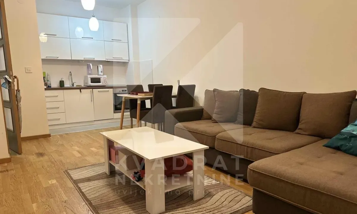 Izdavanje, jednosoban stan, 45m², Stari Aerodrom, Podgorica
