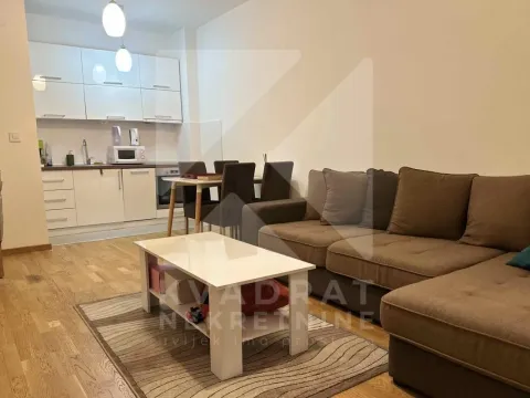 Izdavanje, jednosoban stan, 45m², Stari Aerodrom, Podgorica - image 1