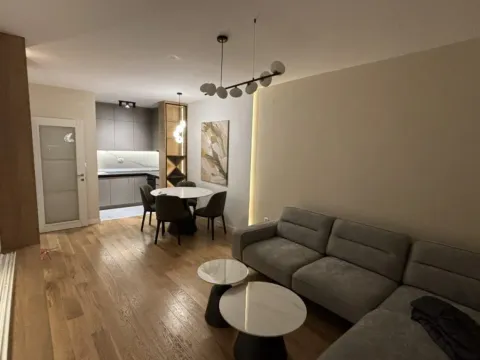 Izdavanje, jednosoban stan, 50m², Central Point, Podgorica - image 3