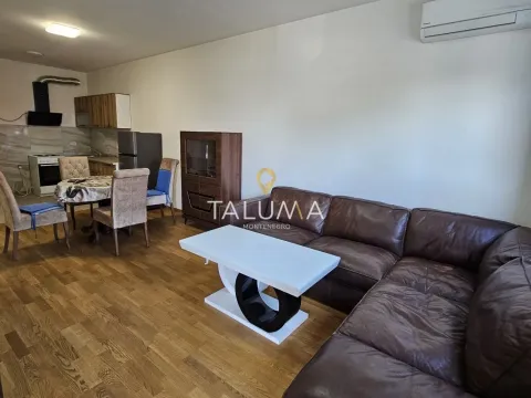 Izdavanje, jednosoban stan, 45m², Stari Aerodrom, Podgorica - image 2