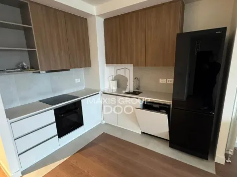 Izdavanje, dvosoban stan, 60m², Savski Venac, Beograd - image 4