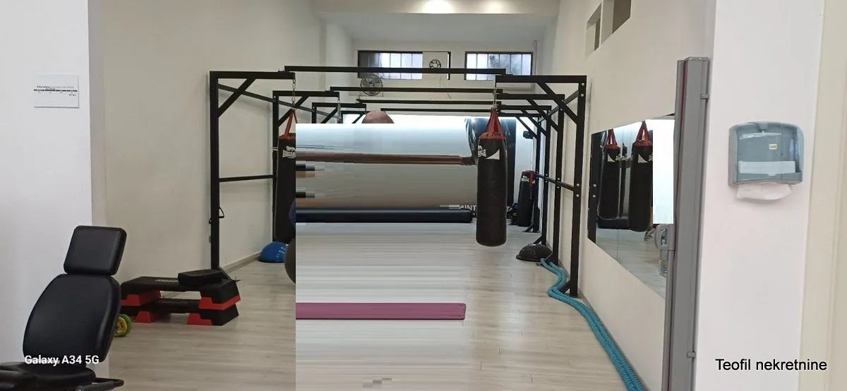 Prodaja, poslovni prostor, 1000m², Vračar, Šid