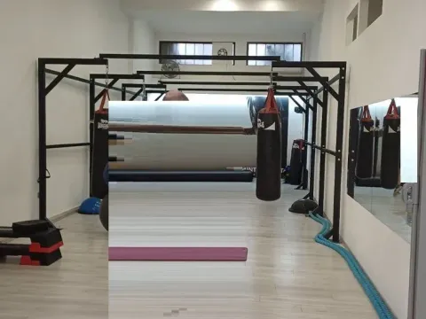 Prodaja, poslovni prostor, 1000m², Vračar, Šid - image 6