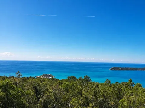 Pogled na more i šumu sa ostrvom u daljini. - image 3