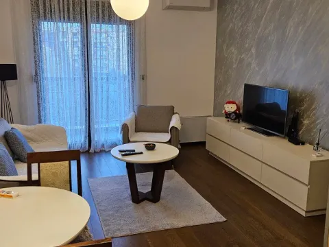 Rent, one bedroom apartment, 48m², Ljubović, Podgorica - image 1