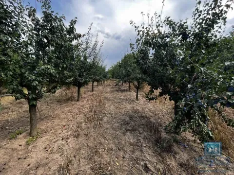 Sale, house, 65m², Kovačevac, Jagodina - image 25