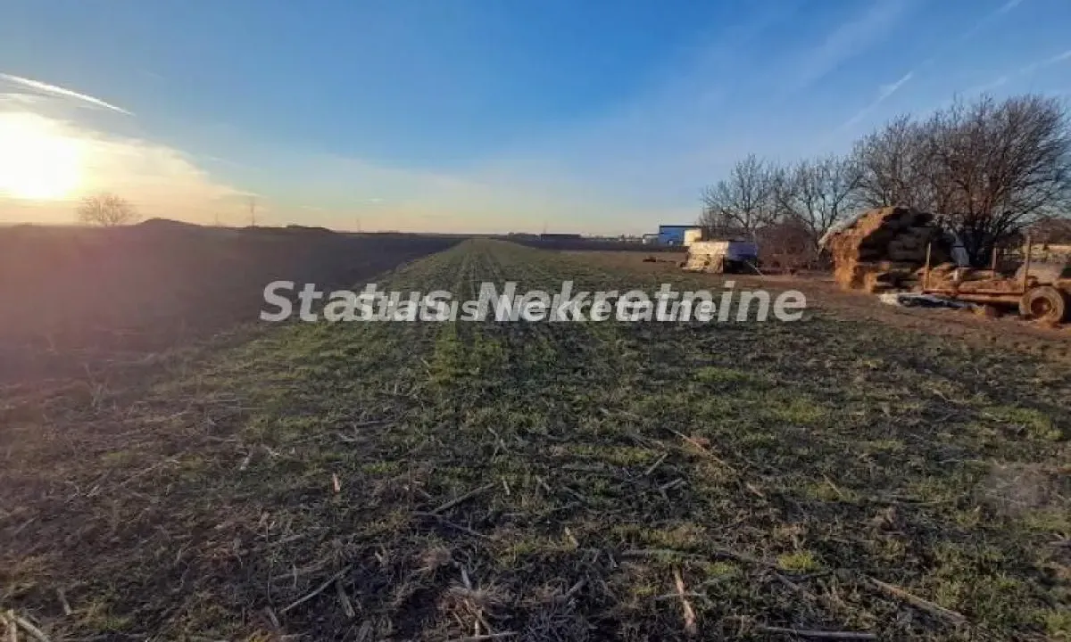 Prodaja, plac, 5640m², Rumenka, Novi Sad Sve Podlokacije