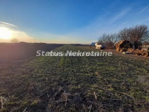 Prodaja, plac, 5640m², Rumenka, Novi Sad Sve Podlokacije - image 1