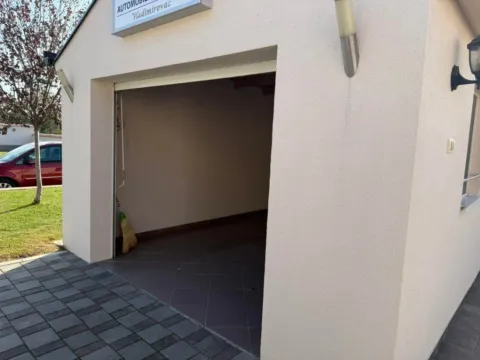 Prodaja, kuća, 220m², Vladimirovac, Alibunar - image 5