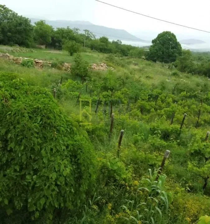 Prodaja, plac, 2000m², Bandići, Danilovgrad