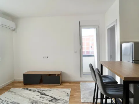 Izdavanje, dvosoban stan, 42m², Mirijevo Sve Podlokacije, Beograd - image 6