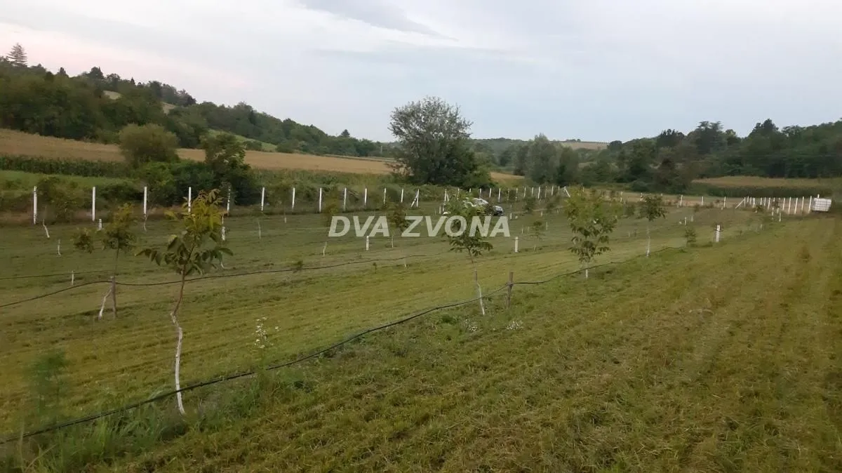 Sale, land lot, 9700m², Čortanovci, Inđija