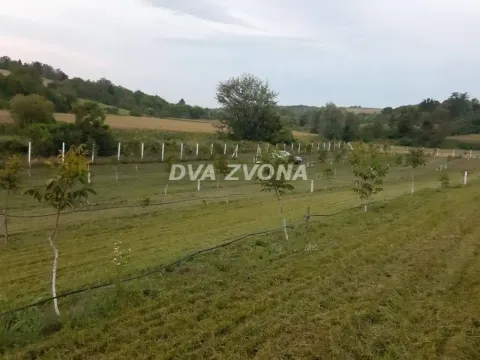 Sale, land lot, 97m², Čortanovci, Inđija