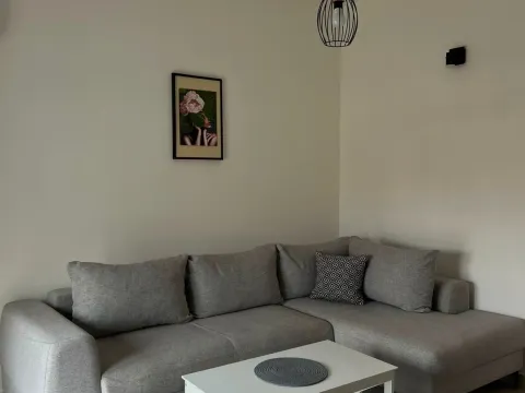 Rent, one bedroom apartment, 45m², Zagorič, Podgorica - image 2