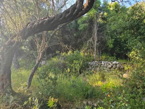 Prodaja, plac, 3000m², Ulcinj, Crna Gora - image 3