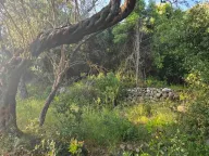 Prodaja, plac, 3000m², Ulcinj, Crna Gora - image 3