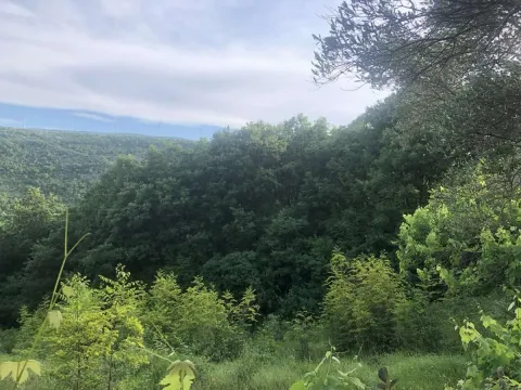 Sale, land lot, 18900m², Velja Gorana, Bar - image 6