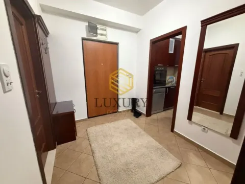 Izdavanje, jednosoban stan, 51m², Stari Aerodrom, Podgorica - image 4