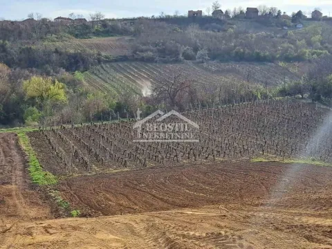 Prodaja, plac, 4966m², Brestovik, Grocka - image 13