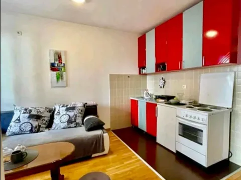 Rent, two bedroom apartment, 30m², Brace Jerković, Voždovac Sve Podlokacije - image 3