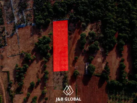 Prodaja, plac, 2600m², Krimovica, Kotor - image 7