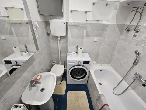 Izdavanje, četvorosoban stan, 85m², Hala Pionir, Palilula Sve Podlokacije - image 9