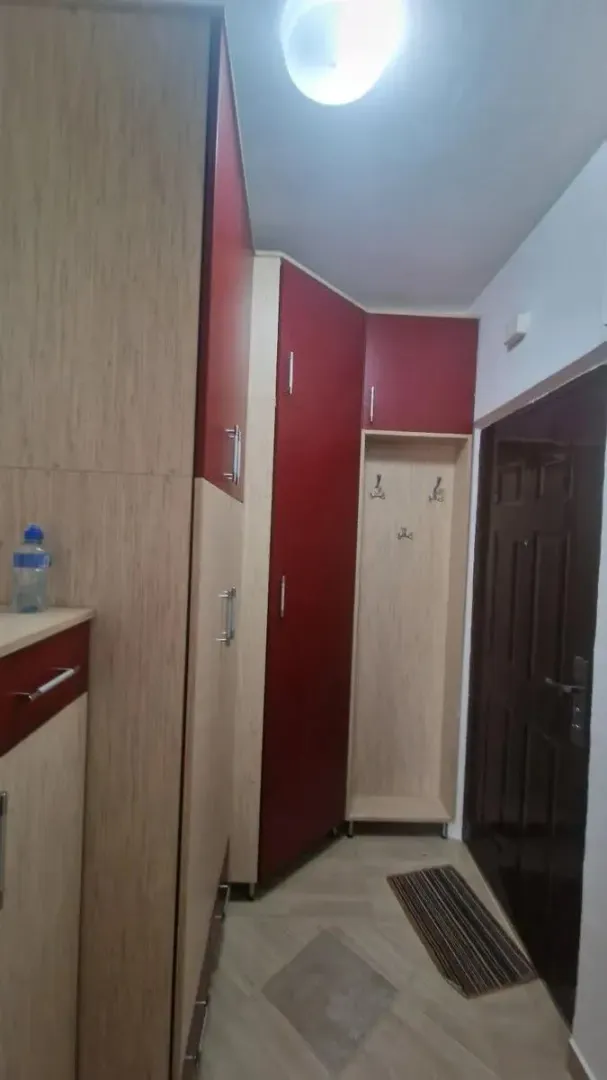 Izdavanje, jednosoban stan, 50m², Preko Morače, Podgorica