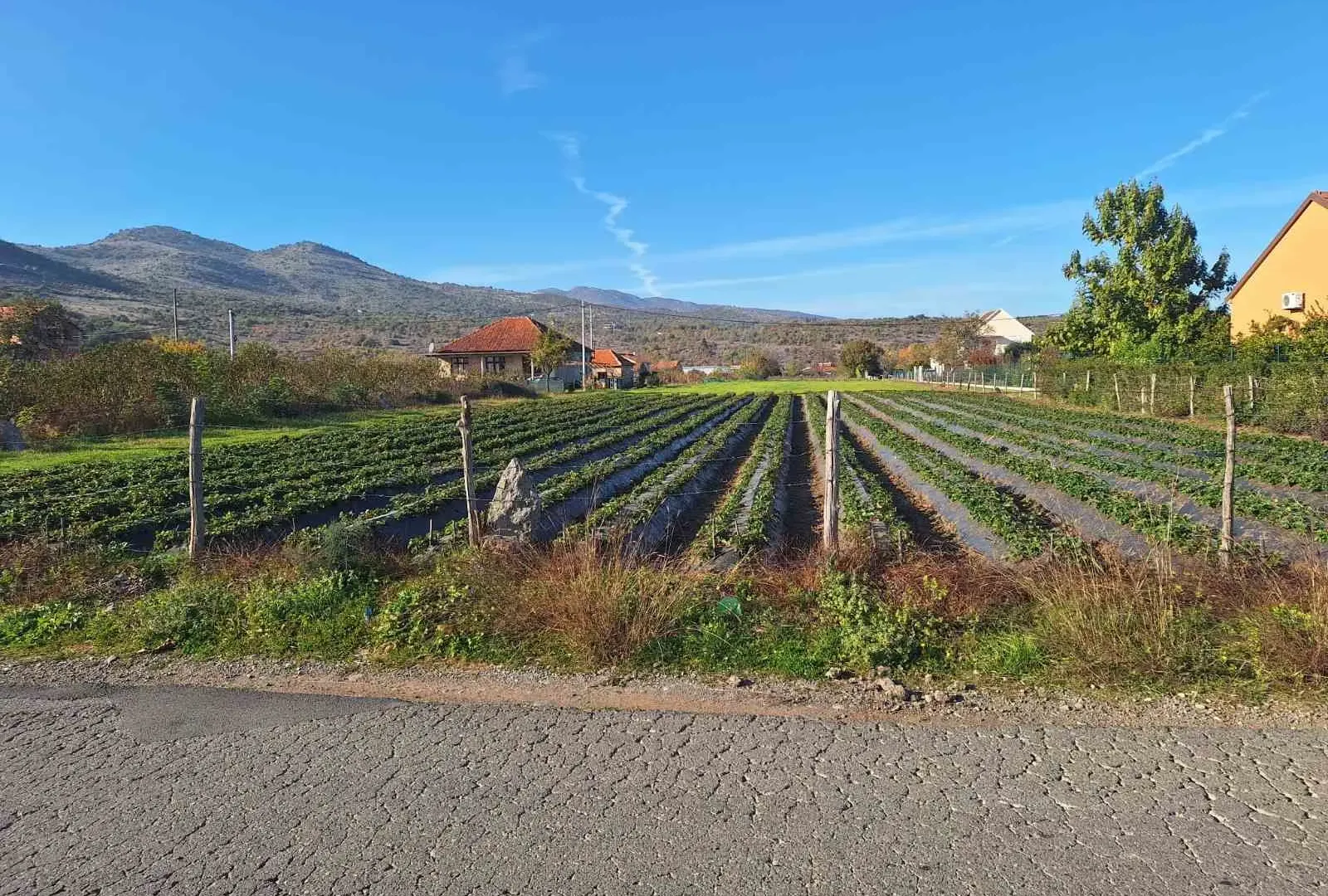 Prodaja, plac, 4000m², Podgorica, Crna Gora