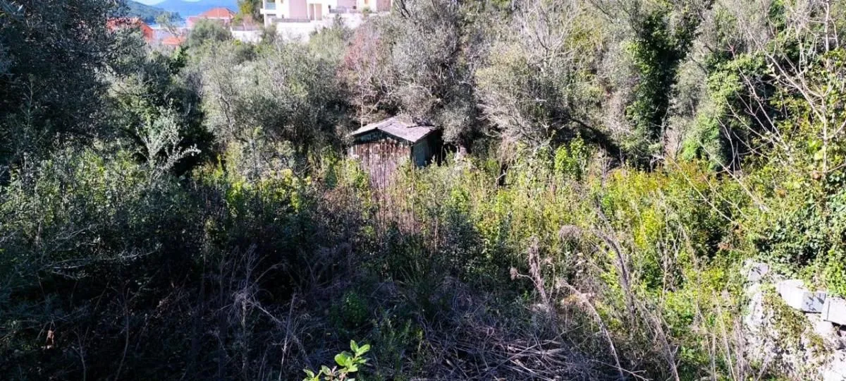 Prodaja, plac, 919m², Bigova, Kotor