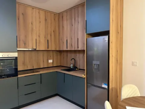 Izdavanje, jednosoban stan, 48m², Stari Aerodrom, Podgorica - image 3