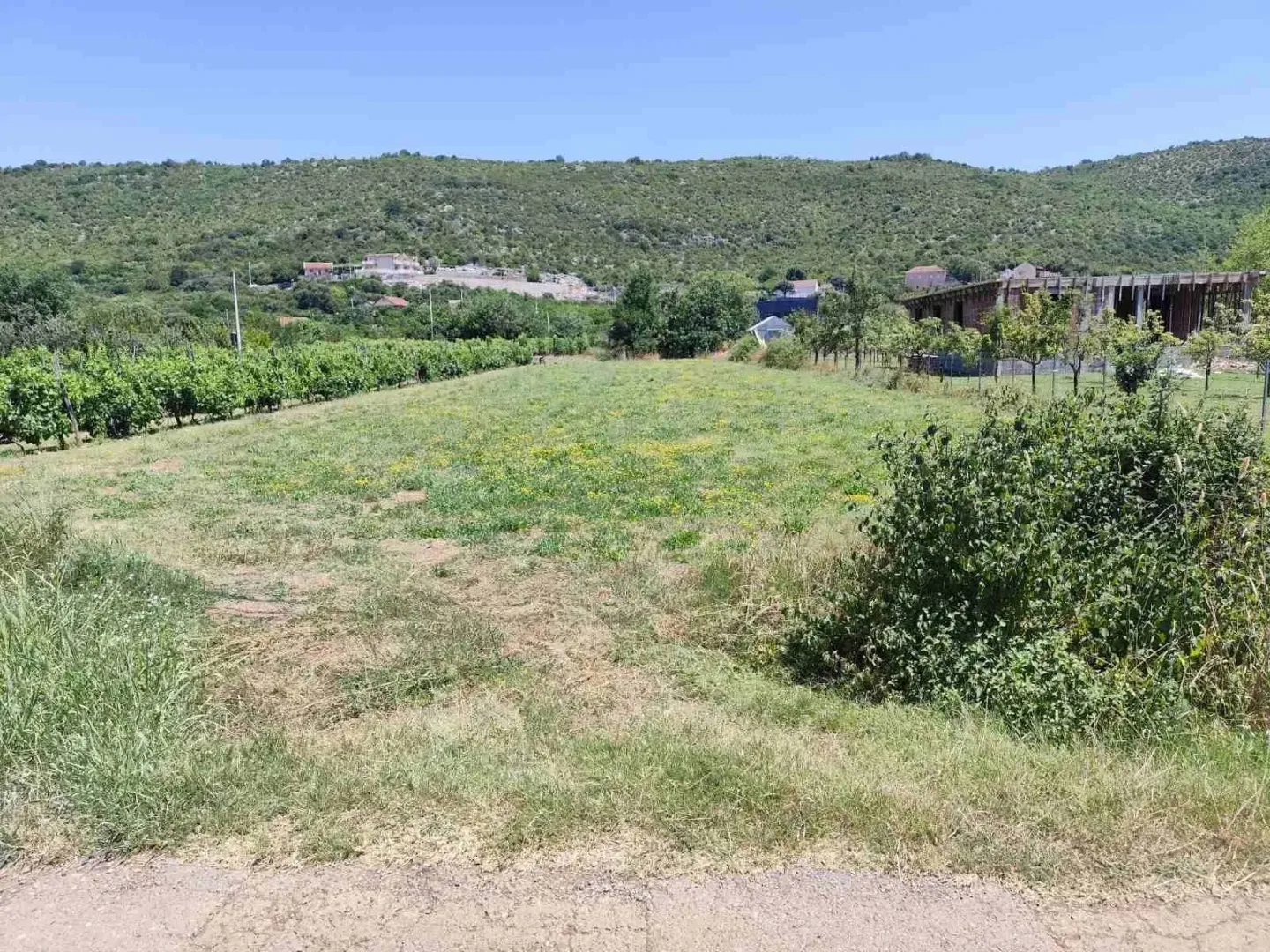 Pogled na prostrano zemljište sa rastinjem i okolnim brdima.