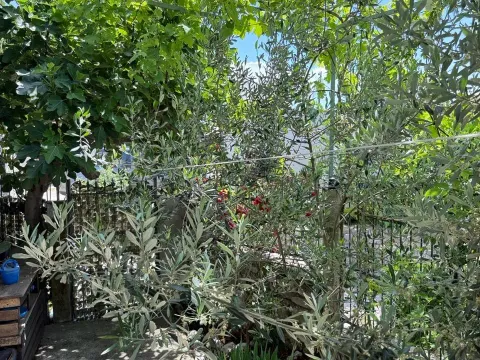 Rent, house, 110m², Dobre Vode, Bar - image 5