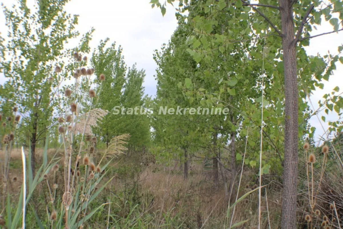 Prodaja, plac, 1378m², Zrenjanin, Srbija