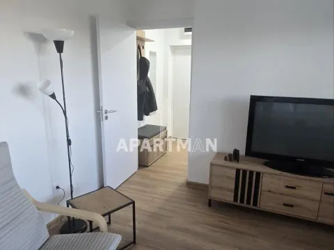 Izdavanje, jednosoban stan, 29m², Savski Venac, Beograd - image 3
