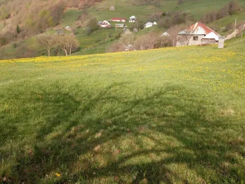 Prodaja, kuća, 199m², Bijelo Polje, Crna Gora - image 3