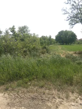 Prodaja, plac, 2050m², Stari Banovci, Stara Pazova - image 2