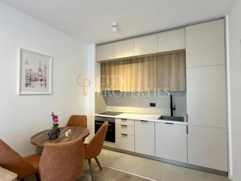 Rent, apartment, 35m², Zabjelo, Podgorica - image 11