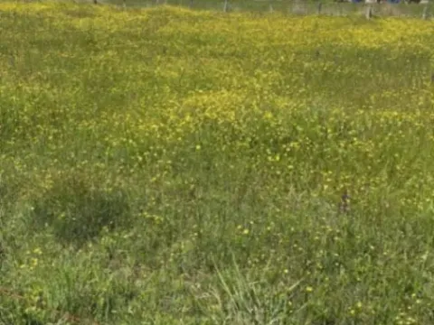 Prodaja, plac, 1800m², Spuž, Danilovgrad - image 1