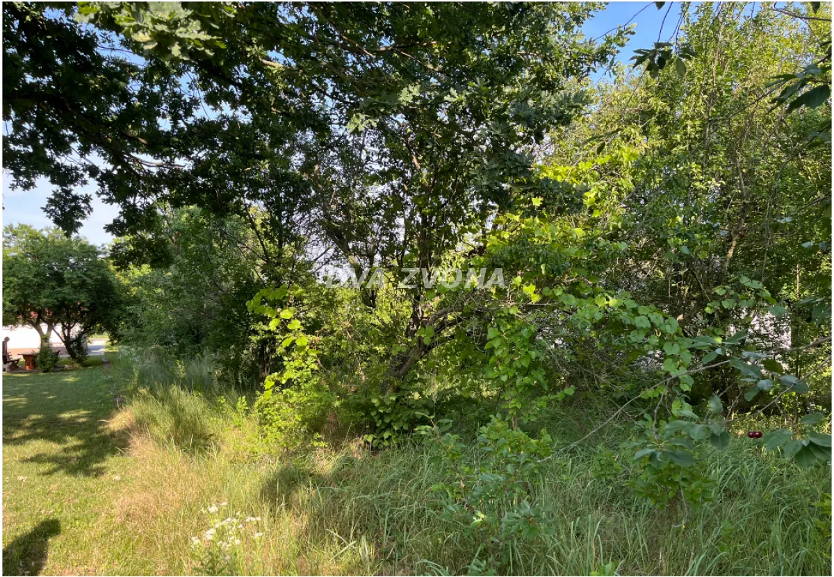 Prodaja, plac, 800m², Bečej, Novi Sad