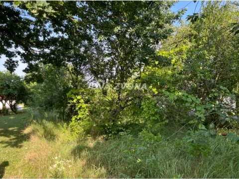 Prodaja, plac, 800m², Bečej, Novi Sad - image 1