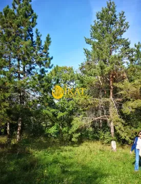 Prodaja, plac, 1000m², Nemenikuće, Sopot - image 2